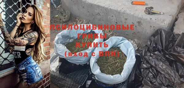 дмт Алзамай