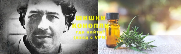 ПСИЛОЦИБИНОВЫЕ ГРИБЫ Алексеевка