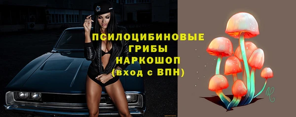 ПСИЛОЦИБИНОВЫЕ ГРИБЫ Алексеевка