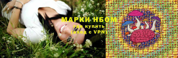 дмт Алзамай
