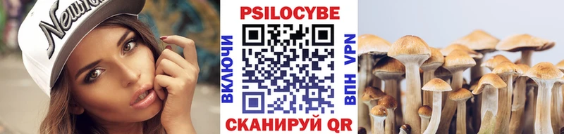 Галлюциногенные грибы Psilocybine cubensis  Пыталово 